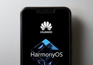 华为鸿蒙os系统电脑怎么下载(华为鸿蒙OS系统电脑下载指南) 华为鸿蒙os系统电脑怎么下载(华为鸿蒙OS系统电脑下载指南)