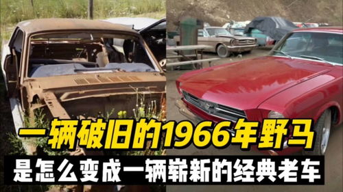 美国汽车都卖多少钱一辆(美国汽车市场,车辆价格概览) 美国汽车都卖多少钱一辆(美国汽车市场,车辆价格概览)