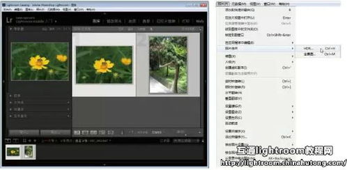 华为电脑看图识字怎么用(华为电脑看图识字功能详解,轻松实现图像内容智能识别) 华为电脑看图识字怎么用(华为电脑看图识字功能详解,轻松实现图像内容智能识别)