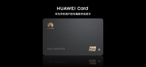 电脑怎么刷成华为的字样(如何将电脑刷成华为字样—深度解析与操作指南) 电脑怎么刷成华为的字样(如何将电脑刷成华为字样—深度解析与操作指南)