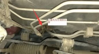 汽车水管底座多少钱一个(汽车水管底座价格解析,多少钱一个? 汽车水管底座多少钱一个(汽车水管底座价格解析,多少钱一个?