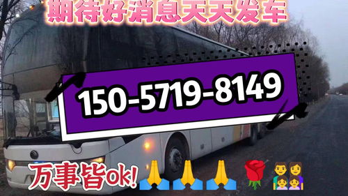 沙市到郑州汽车票多少钱(沙市到郑州汽车票价详解,费用、时间与路线) 沙市到郑州汽车票多少钱(沙市到郑州汽车票价详解,费用、时间与路线)