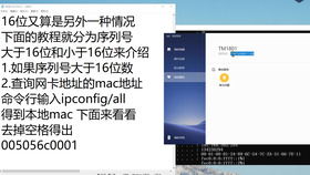 华为联动怎么传视频到电脑(华为联动,轻松实现视频传输到电脑的步骤详解) 华为联动怎么传视频到电脑(华为联动,轻松实现视频传输到电脑的步骤详解)