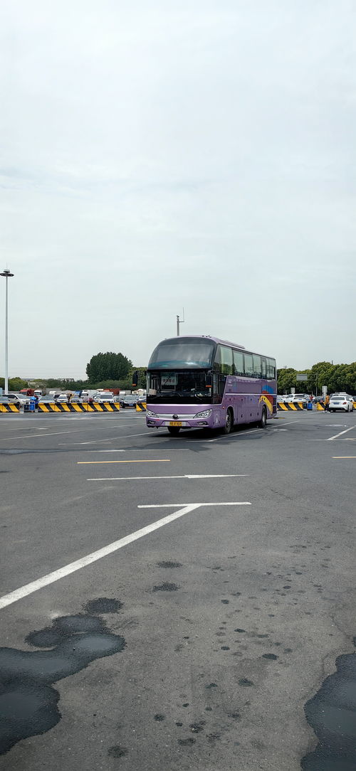 到莱州汽车站有多少趟车(莱州汽车站车辆运营概况，车次、班次与路线详解)