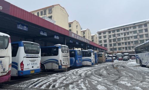 东莞桥头有多少个汽车站(桥头汽车站数量揭秘，探寻东莞桥头汽车站之众多面貌)