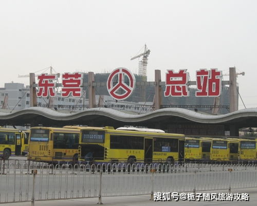 东莞东城有多少个汽车站(东莞东城汽车站数量及布局解析) 东莞东城有多少个汽车站(东莞东城汽车站数量及布局解析)