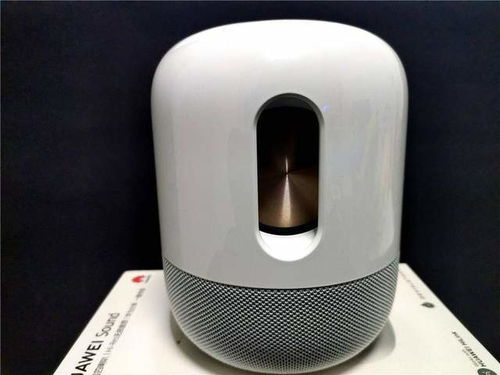 华为音响sound怎么连接电脑(华为音响Sound连接电脑的详细步骤) 华为音响sound怎么连接电脑(华为音响Sound连接电脑的详细步骤)