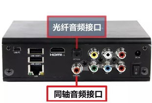 电视音箱华为怎么连接电脑(华为电视音箱与电脑的连接指南) 电视音箱华为怎么连接电脑(华为电视音箱与电脑的连接指南)