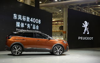 成都到会东汽车多少钱(成都到会东汽车票价详解) 成都到会东汽车多少钱(成都到会东汽车票价详解)