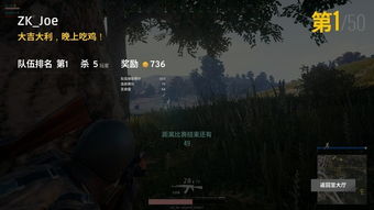 华为电脑里怎么下载吃鸡(华为电脑下载绝地求生，大逃杀（PUBG）游戏攻略)