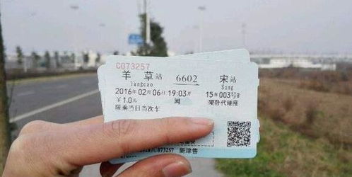 沈阳春节汽车票价格多少(沈阳春节汽车票价格解析) 沈阳春节汽车票价格多少(沈阳春节汽车票价格解析)