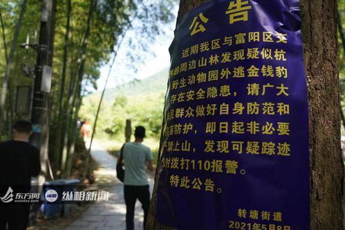 华为手表怎么连接电脑吗(华为手表与电脑的连接方法,简单、高效、一步到位) 华为手表怎么连接电脑吗(华为手表与电脑的连接方法,简单、高效、一步到位)