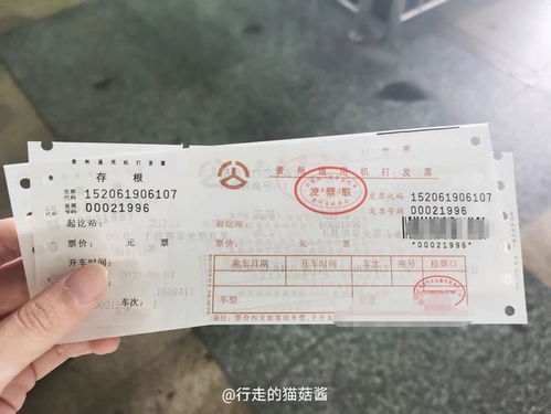 株洲到天津汽车票多少钱(株洲至天津汽车票价详解，费用、路线与旅行准备)