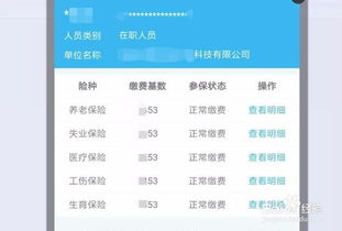 怎么查汽车保险交多少年(如何查询汽车保险缴纳年限，步骤详解)
