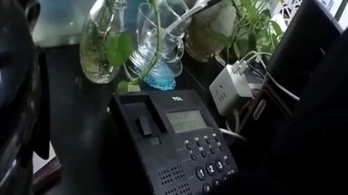天堂寨汽车站电话是多少(天堂寨汽车站电话查询及旅游指南) 天堂寨汽车站电话是多少(天堂寨汽车站电话查询及旅游指南)