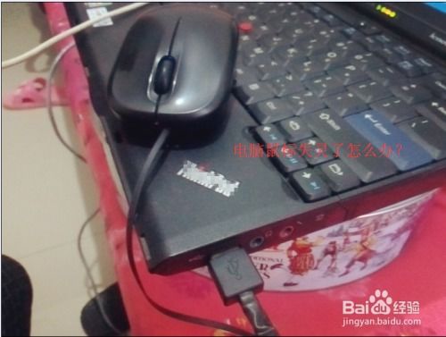 华为电脑滑鼠失灵怎么办(华为电脑滑鼠失灵怎么办?全面解析与解决策略) 华为电脑滑鼠失灵怎么办(华为电脑滑鼠失灵怎么办?全面解析与解决策略)