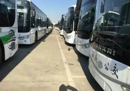乐平汽车站到武汉多少钱(乐平汽车站到武汉的交通费用详解) 乐平汽车站到武汉多少钱(乐平汽车站到武汉的交通费用详解)