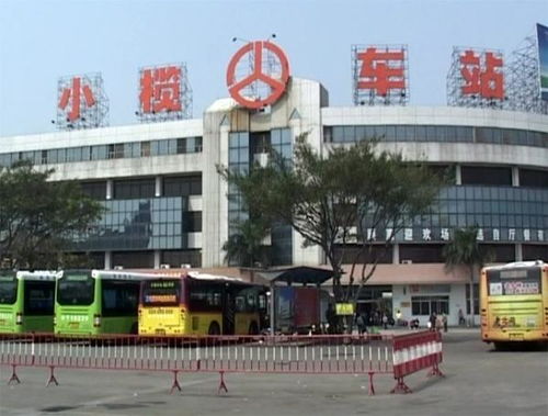 中山小榄有多少个汽车站(中山小榄汽车站的数量及其分布)