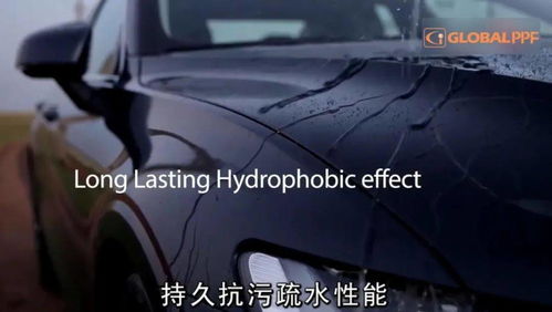 汽车尾箱一般多少钱(汽车尾箱价格解析,多少钱才是合理的选择? 汽车尾箱一般多少钱(汽车尾箱价格解析,多少钱才是合理的选择?