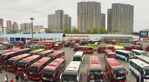 林州到天津汽车站多少钱(林州到天津汽车站票价详解)