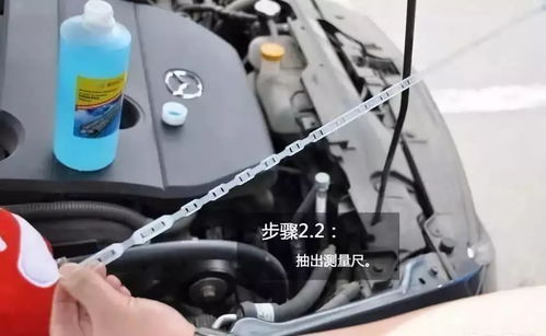 汽车应加多少玻璃水最好(汽车应加多少玻璃水最好) 汽车应加多少玻璃水最好(汽车应加多少玻璃水最好)