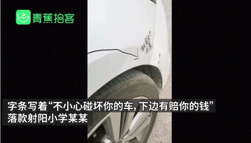 汽车被撞赔23元多少钱(汽车被撞赔偿金额解析,赔23元背后的真相) 汽车被撞赔23元多少钱(汽车被撞赔偿金额解析,赔23元背后的真相)