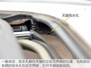汽车下支臂胶条多少钱(汽车下支臂胶条价格解析) 汽车下支臂胶条多少钱(汽车下支臂胶条价格解析)