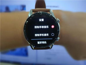 华为watch 2怎么连接电脑(华为Watch 2如何连接电脑,详细步骤与操作指南) 华为watch 2怎么连接电脑(华为Watch 2如何连接电脑,详细步骤与操作指南)