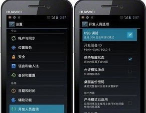 华为荣耀电脑怎么录屏的(华为荣耀电脑录屏指南,轻松掌握录屏操作) 华为荣耀电脑怎么录屏的(华为荣耀电脑录屏指南,轻松掌握录屏操作)
