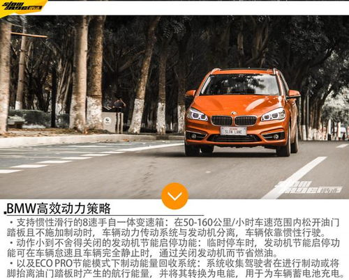 汽车第一次进场利润多少(汽车首次进场利润深度解析)