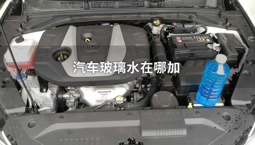 汽车玻璃水加到多少算满(汽车玻璃水加满标准详解) 汽车玻璃水加到多少算满(汽车玻璃水加满标准详解)