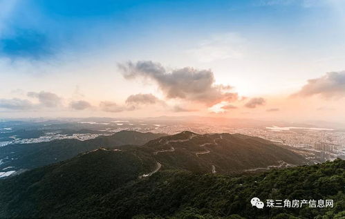 江门汽车天线多少钱一个(江门汽车天线价格解析,多少钱一个? 江门汽车天线多少钱一个(江门汽车天线价格解析,多少钱一个?