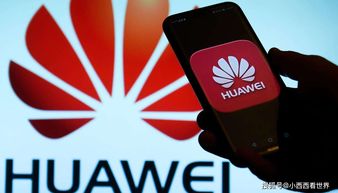 华为新电脑怎么激活windows(华为新电脑Windows系统激活全攻略) 华为新电脑怎么激活windows(华为新电脑Windows系统激活全攻略)
