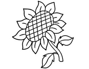 华为电脑怎么画花屏图片(华为电脑画花屏图片的方法与步骤详解) 华为电脑怎么画花屏图片(华为电脑画花屏图片的方法与步骤详解)