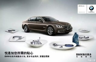 郑州白色汽车多少钱一台(郑州白色汽车价格概览)