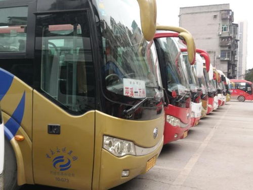 简阳到汉源汽车票价多少(简阳至汉源汽车票价详解) 简阳到汉源汽车票价多少(简阳至汉源汽车票价详解)