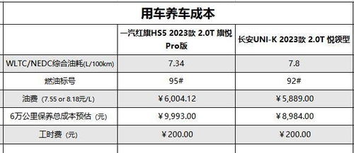 湖南汽车网络推广多少钱(湖南汽车网络推广费用详解，预算、成本与策略考量)