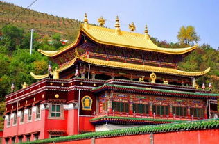 黔江到龙头寺汽车多少钱(黔江到龙头寺,汽车票价详解) 黔江到龙头寺汽车多少钱(黔江到龙头寺,汽车票价详解)