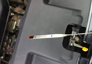 怎么查汽车加多少机油的(如何准确查知汽车机油量,步骤详解) 怎么查汽车加多少机油的(如何准确查知汽车机油量,步骤详解)