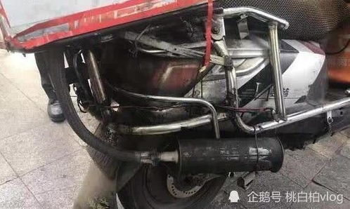 电动汽车减震改造多少钱(电动汽车减震改造费用分析) 电动汽车减震改造多少钱(电动汽车减震改造费用分析)