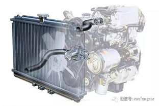 汽车散热器隔栏多少钱(汽车散热器隔栏价格解析,多少钱才是合理的选择? 汽车散热器隔栏多少钱(汽车散热器隔栏价格解析,多少钱才是合理的选择?