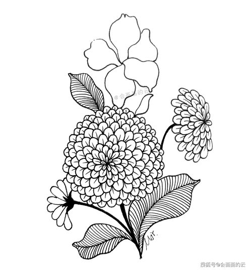 华为电脑怎么画花朵图案(华为电脑绘画教程,如何绘制花朵图案) 华为电脑怎么画花朵图案(华为电脑绘画教程,如何绘制花朵图案)