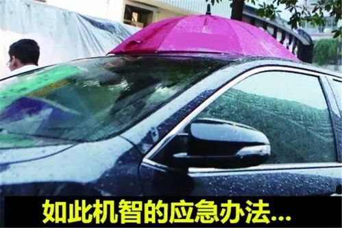 汽车车库漏水维修多少钱(汽车车库漏水维修费用解析)