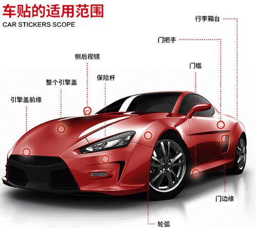汽车个性龙字贴膜多少钱(汽车个性龙字贴膜价格解析) 汽车个性龙字贴膜多少钱(汽车个性龙字贴膜价格解析)