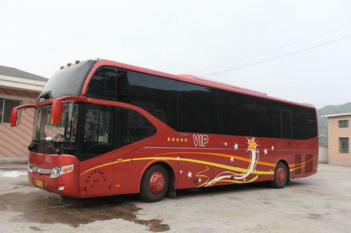德州到东营汽车票多少元(德州到东营汽车票价详解,费用、时间与路线) 德州到东营汽车票多少元(德州到东营汽车票价详解,费用、时间与路线)