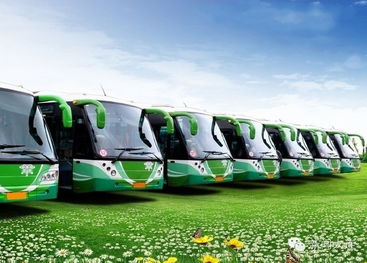 20亩地能放多少辆汽车(探究20亩地能容纳的汽车数量) 20亩地能放多少辆汽车(探究20亩地能容纳的汽车数量)