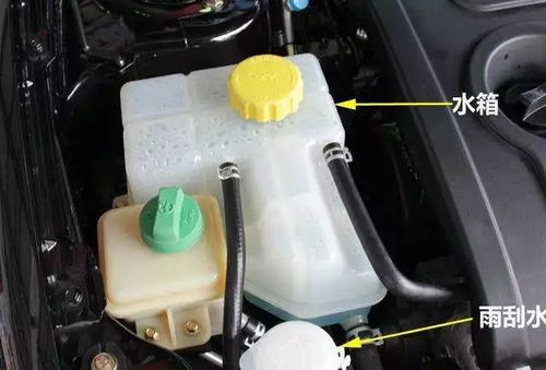 汽车疏通水箱价格多少钱(汽车疏通水箱价格分析) 汽车疏通水箱价格多少钱(汽车疏通水箱价格分析)