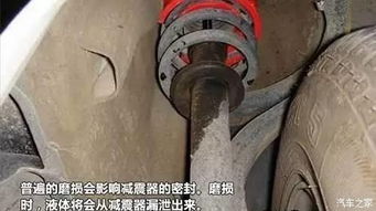 汽车换后减震包多少钱(汽车换后减震包的价格解析)