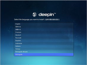 华为电脑deepin怎么安装软件(华为电脑Deepin系统安装软件详解) 华为电脑deepin怎么安装软件(华为电脑Deepin系统安装软件详解)