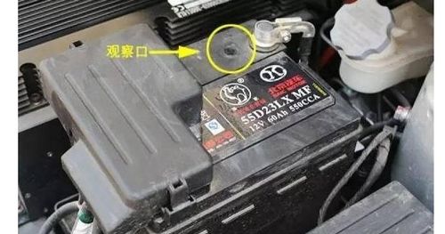 汽车上电池是多少伏的电(汽车上电池电压解析,多少伏的电在驱动我们的座驾? 汽车上电池是多少伏的电(汽车上电池电压解析,多少伏的电在驱动我们的座驾?